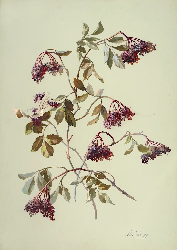 image description