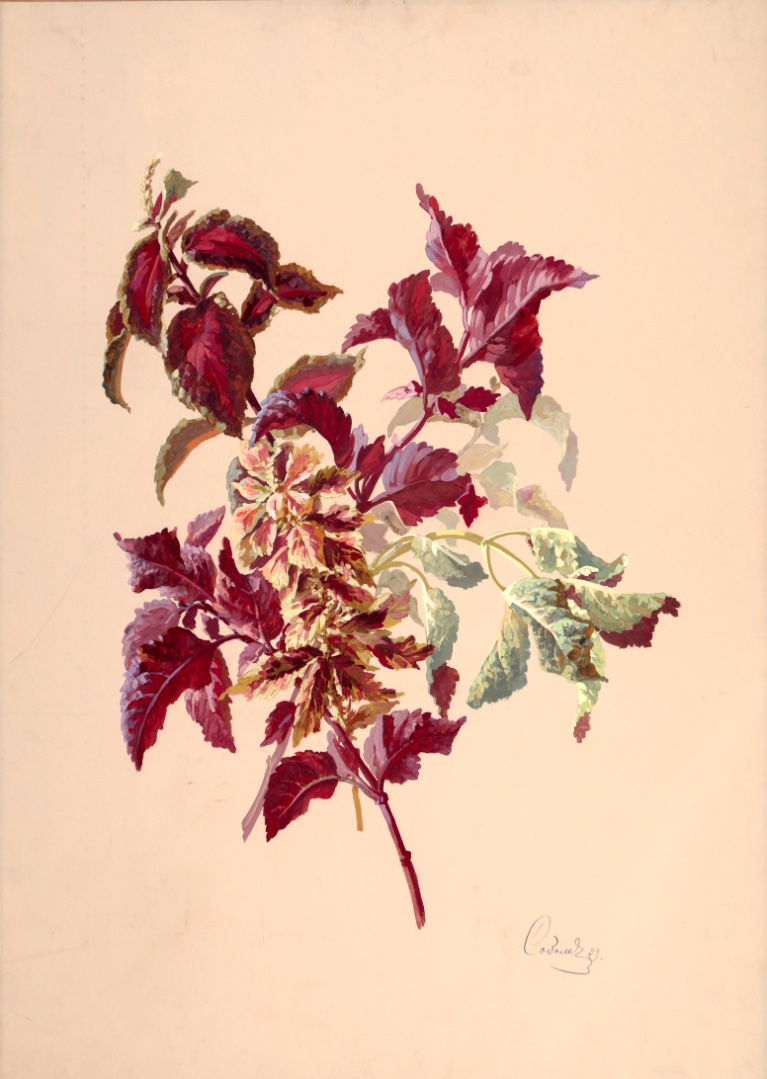 image description